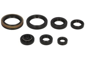 Set garnituri motor compatibil: SUZUKI RM 125 1992-1997