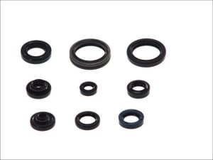 Set garnituri motor compatibil: SUZUKI RM 125 1992-2008