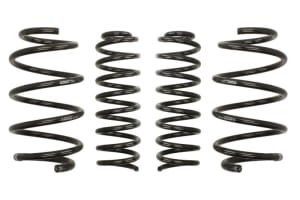 Arcuri coborare, Pro-Kit, 4pcs, (30mm / 30mm); (1130kg / 930kg); compatibil: RENAULT MEGANE II 1.4-1.6ALK 09.02-03.09