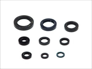 Set garnituri motor compatibil: HONDA CR 125 1987-2003