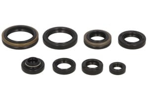 Set garnituri motor compatibil: SUZUKI RM 125 1998-2000