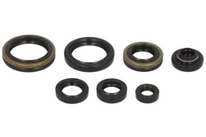 Set garnituri motor compatibil: SUZUKI RM 125 2001-2003