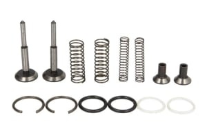 Kit reparatie pompa hidraulica compatibil: MASSEY FERGUSON 100, 1000, 200, 4000, 500 1200/1250/150/230/230 UK/231/231 S/240/240 S/240 UK /243/4255/4255HV/4325/4325HV/550/565/575