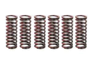 Set arcuri ambreiaj compatibil: SUZUKI RM-Z 450 2005-2007