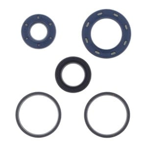 Set garnituri motor compatibil: HONDA SJ 100 1996-1998