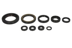 Set garnituri motor compatibil: HONDA TRX 450 2006-2014