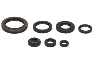 Set garnituri motor compatibil: SUZUKI RM 250 1994-1995