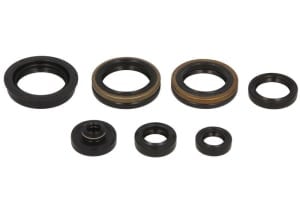 Set garnituri motor compatibil: SUZUKI RM 250 2006-2008