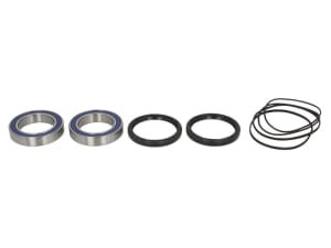 Kit rulmenti roata spate (cu garnituri) compatibil: HONDA ATC, TRX 250-400 1985-2014