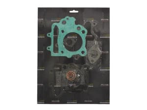 Set garnituri motor compatibil: PEUGEOT ELYSEO 125 1998-2003