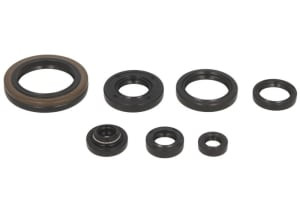 Set garnituri motor compatibil: SUZUKI RM 250 1989-1993