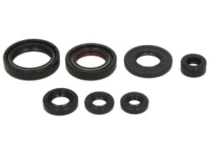 Set garnituri motor compatibil: YAMAHA BW, PW 80 1983-2006