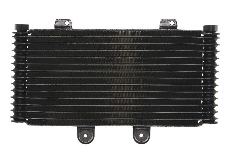 Radiator compatibil: SUZUKI GSF 1200 2001-2006 - 1 | YEO