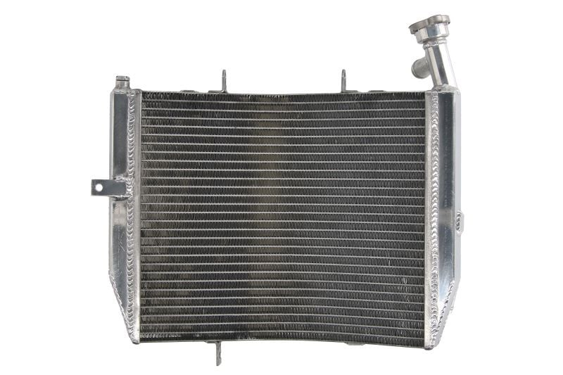 Radiator compatibil: TRIUMPH DAYTONA 675 2006-2012 - 1 | YEO