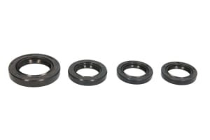 (19×32×6;27×42×7;19.8×30×5;19.8×30×5 set of oil seals) GY6-125 compatibil: CHIŃSKI SKUTER/MOPED/MOTOROWER/ATV 4T