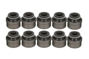 Garnituri supape 10pcs compatibil: APRILIA ATLANTIC, HABANA, RSV, SCARABEO, SL, SPORTCITY, SR, SRV, TUONO; BENELLI ADIVA; DERBI BOULEVARD; GILERA NEXUS, OREGON, RUNNER 50-1000 1995-2014