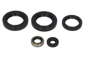 Set garnituri motor compatibil: KAWASAKI KVF 300 1999-2002