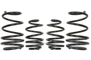 Arcuri coborare, Pro-Kit, 4pcs, (20mm / 25mm); (1000kg / 880kg); compatibil: RENAULT CLIO III 2.0 02.06-12.14