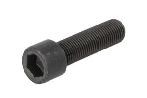 Element diferential (bolt) compatibil: ZF