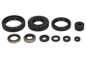 Set garnituri motor compatibil: KAWASAKI KX 125 1994-1997