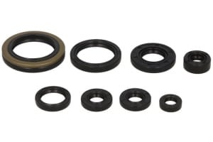 Set garnituri motor compatibil: SUZUKI RM 250 1987-1988