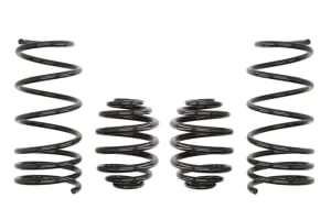 Arcuri coborare, Pro-Kit, 4pcs, (30mm / 30mm); (860kg / 785kg); compatibil: RENAULT CLIO II, CLIO II/HATCHBACK 1.4-2.0 09.98-