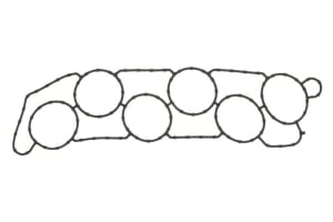 Garnitura galerie de admisie BF175; BF200; BF225; BF250