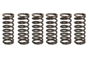 Set arcuri ambreiaj compatibil: APRILIA RSV, TUONO 1000 2009-2015
