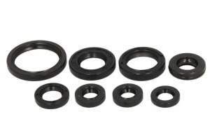 Alte garnituri compatibil: YAMAHA YFM 660 2001-2005