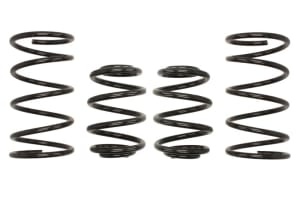Arcuri coborare, Pro-Kit, 4pcs, (30-40mm / 30mm); (865kg / 945kg); compatibil: BMW 3 (E30) 2.0/2.4D/2.5 09.82-12.91