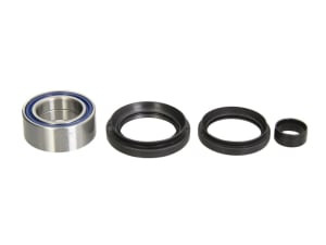 Set rulmenti roata fata cu garnituri compatibil: HONDA TRX 420 2008-2010