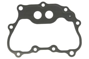 Garnitura capac supape compatibil: HONDA TE, TRX 250 2001-2020