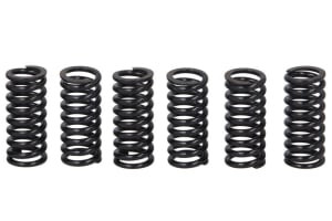 Set arcuri ambreiaj compatibil: SUZUKI RM 125/250 2001-2012