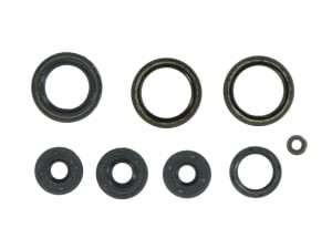 Set garnituri motor compatibil: APRILIA AF1, EUROPA, PEGASO, RED ROSE, RS, TUAREG 125 1985-1996