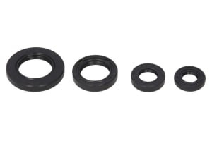 Set garnituri motor compatibil: HONDA TRX 250 1997-2001