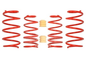 Arcuri coborare, Sportline, 4pcs, (30-35mm / 20mm); (1000kg / 850kg); compatibil: ABARTH GRANDE PUNTO, PUNTO, PUNTO EVO; FIAT GRANDE PUNTO, PUNTO, PUNTO EVO, PUNTO EVO/HATCHBACK 1.3D-1.9D 10.05-