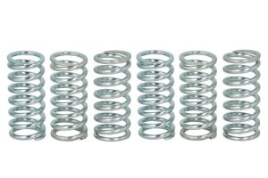 Set arcuri ambreiaj compatibil: APRILIA ETV, MOTO, PEGASO, RST, RSV, SL, TUONO; BMW F 650/1000 1993-2010