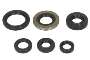 Set garnituri motor compatibil: HONDA TRX 400 2005-2014