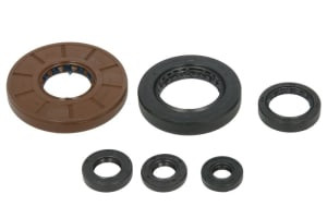 Set garnituri motor compatibil: HONDA TRX 500 2005-2011