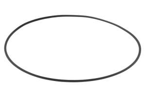 Element diferential (o-ring) compatibil: DANA SPICER