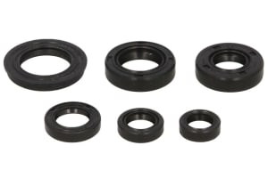 Set garnituri motor compatibil: HONDA XR 250 1996-2004