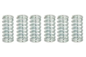 Set arcuri ambreiaj (ranforsat) compatibil: APRILIA RED ROSE, RS; SUZUKI JR, RM; YAMAHA DT, FZS, RD, TT, TW, WR, XS, XT, YFB, YFZ, YZ 50-600 1973-2017