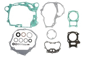 Set garnituri motor compatibil: HONDA TRX 250 2002-2019
