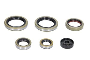 Set garnituri motor compatibil: HUSQVARNA TC, TE; KTM EGS, EXC, EXE, MXC, SX, SXS, XC, XC-W 125-250 1998-2016