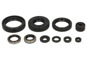 Set garnituri motor compatibil: KAWASAKI KX 125 1994-1997