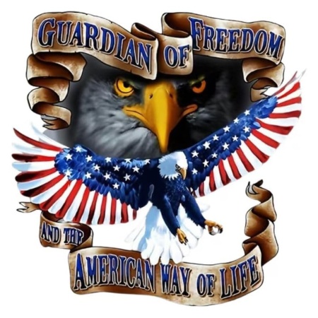 Pelerina de Tuns Guardian Of Freedom - Img 2