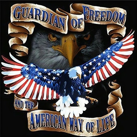 Pelerina de Tuns Guardian Of Freedom - Img 3