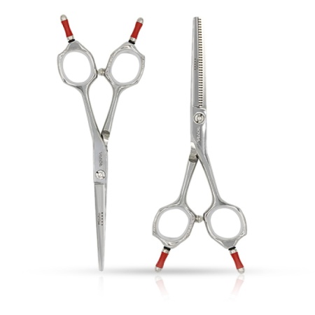 Set Foarfece - ROVRA - Student series - 5.5 inch