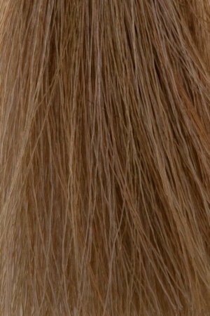Vopsea De Păr Profesională Permanentă Cu Amoniac ETB Hair Professional Colorverse 100ml - Img 16