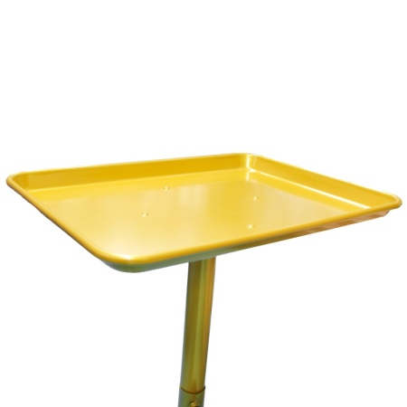 Ucenic Coafor, Reglabil pe Inaltime cu Tavita, Gold - Img 2